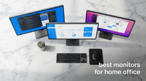 best monitors for home office