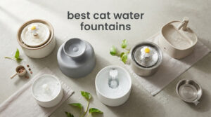 best cat water fountains