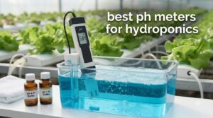 best ph meters for hydroponics