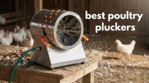 best poultry pluckers
