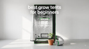best grow tents for beginners