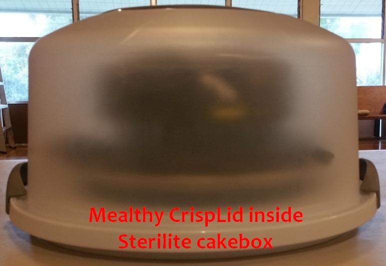Sterilite Cake Server Circular Serving Container White customer photo 1