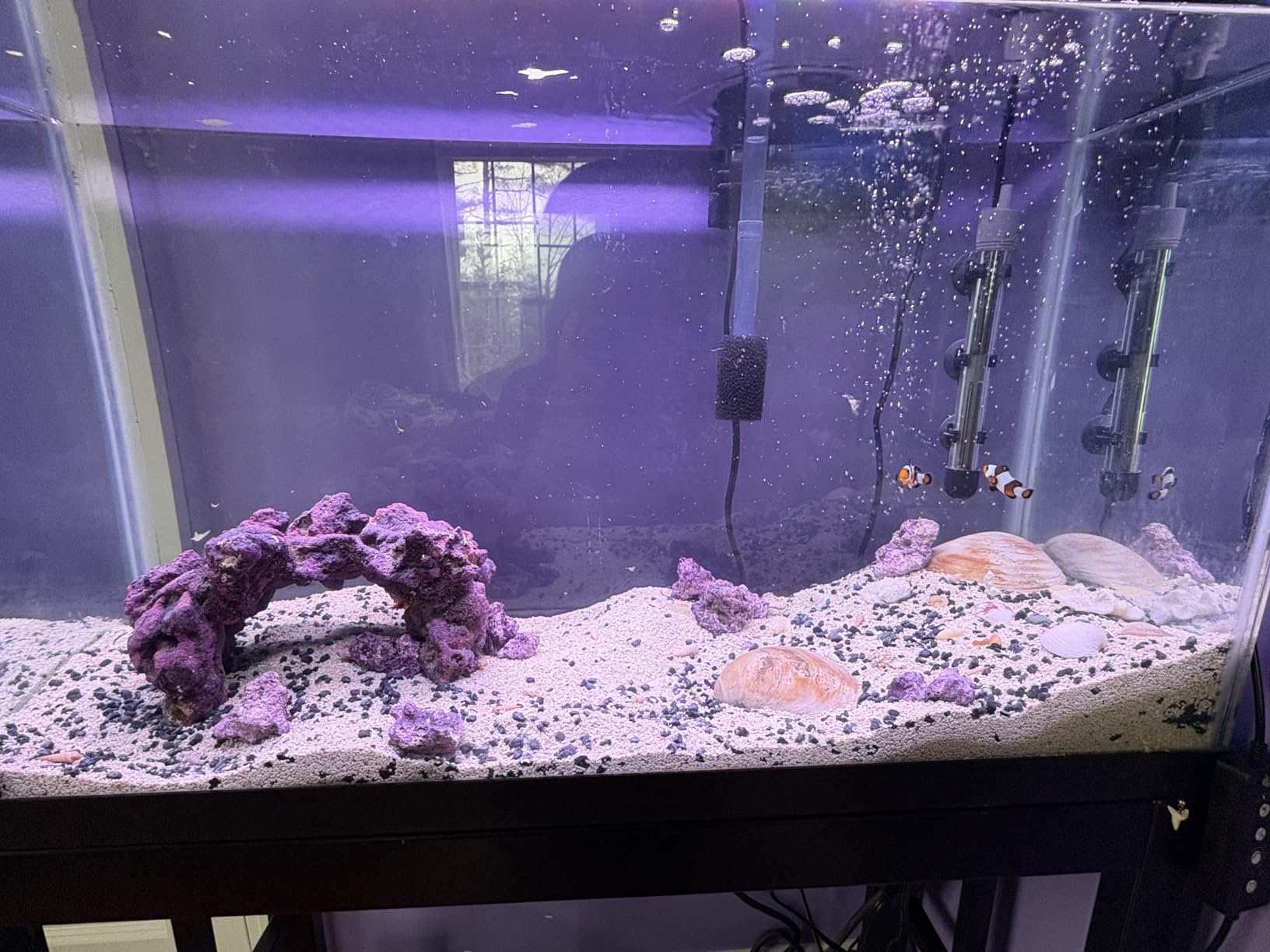 Instant Ocean Sea Salt 50 Gallons, For Marine Aquariums, Fast Dissolving customer photo 2