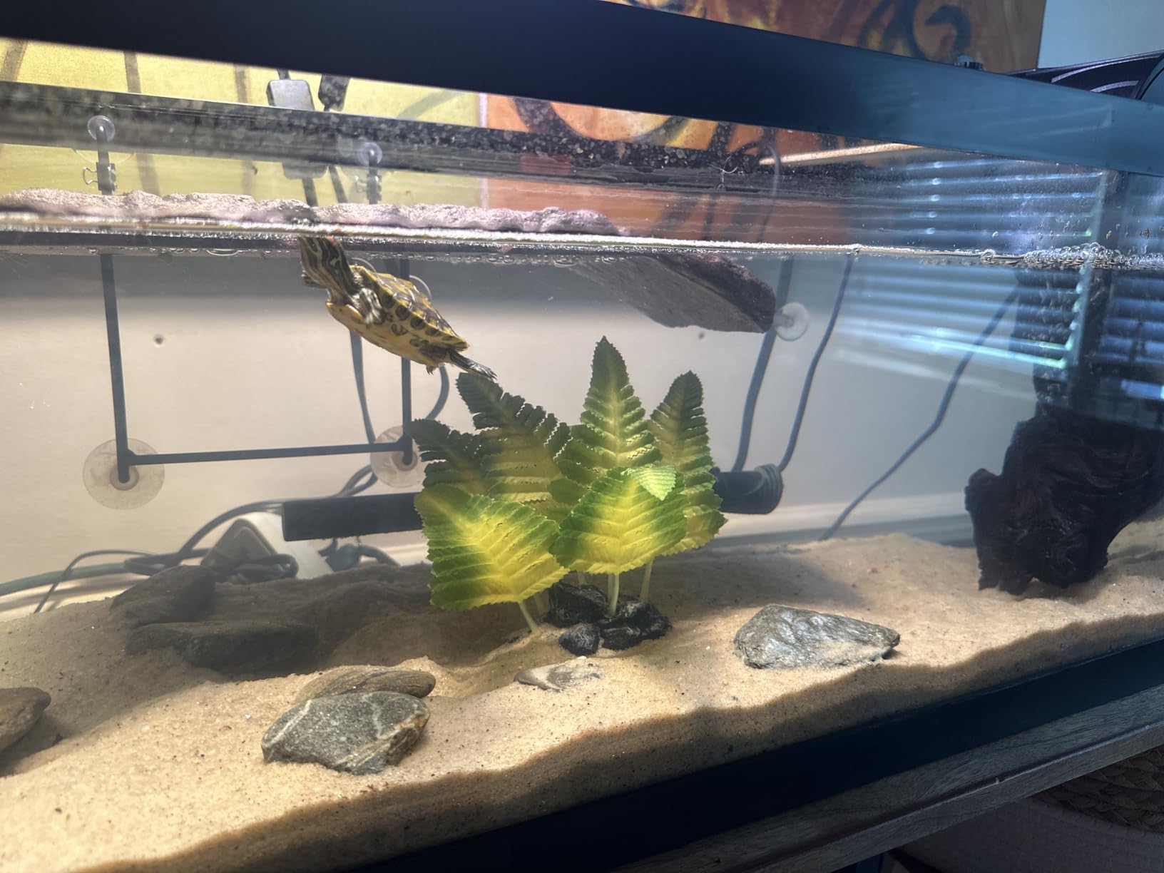 Seachem Purigen Organic Filtration Resin - Fresh and Saltwater 100 ml customer photo 1