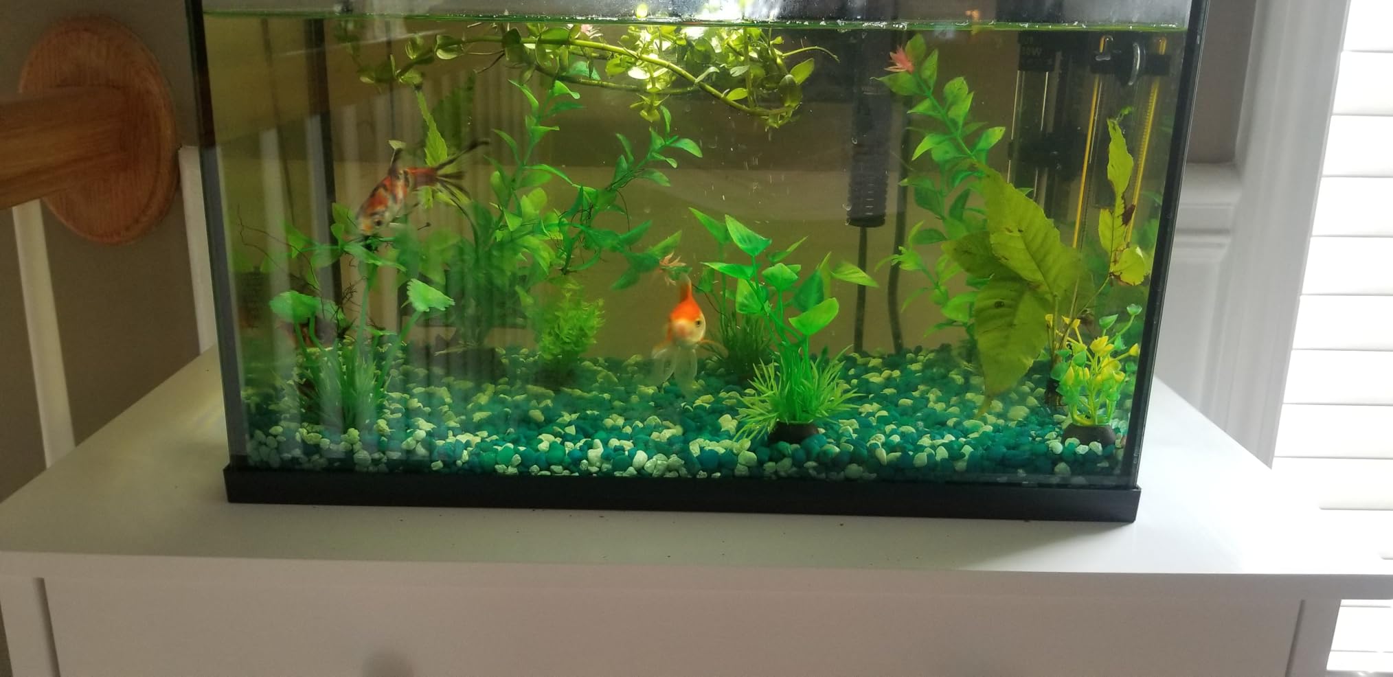 Seachem Purigen Organic Filtration Resin - Fresh and Saltwater 100 ml customer photo 2