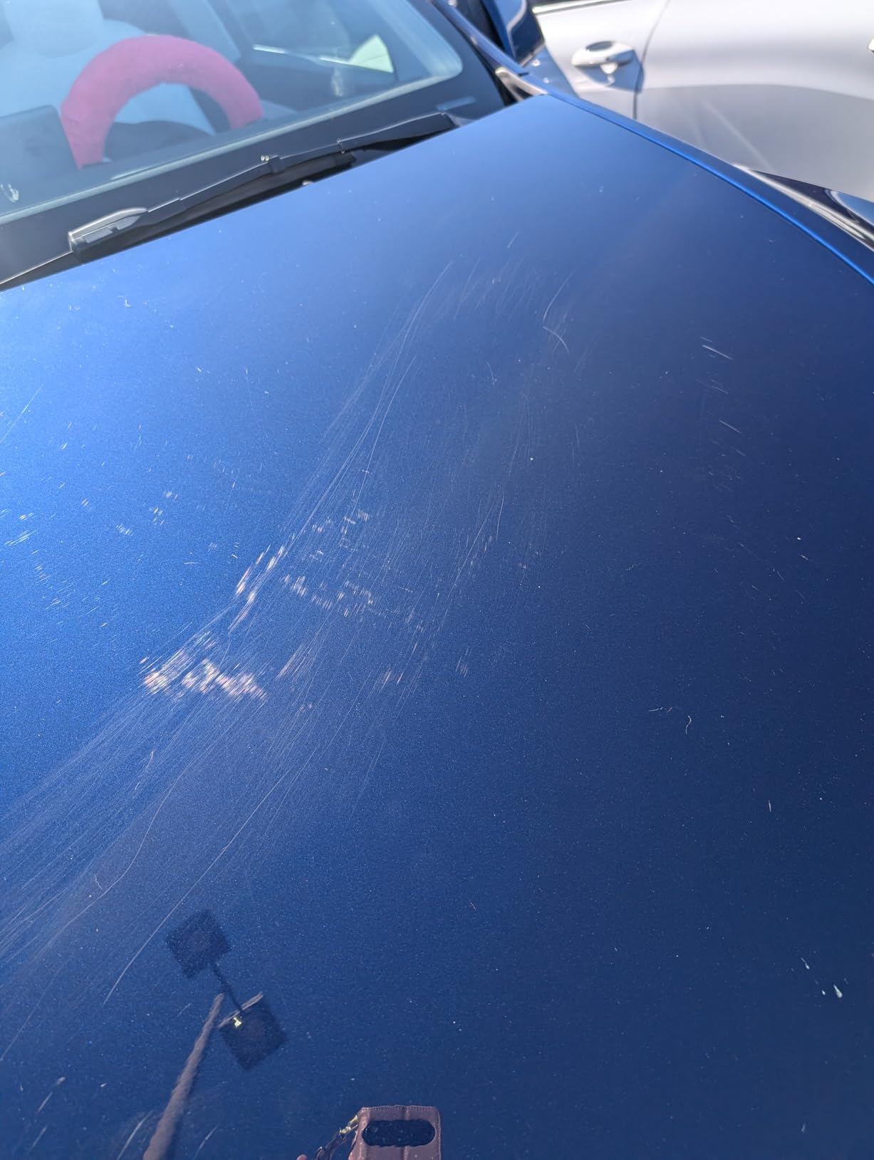 Meguiar's Gold Class Carnauba Plus Premium Liquid Wax Kit, 16 Oz customer photo 2