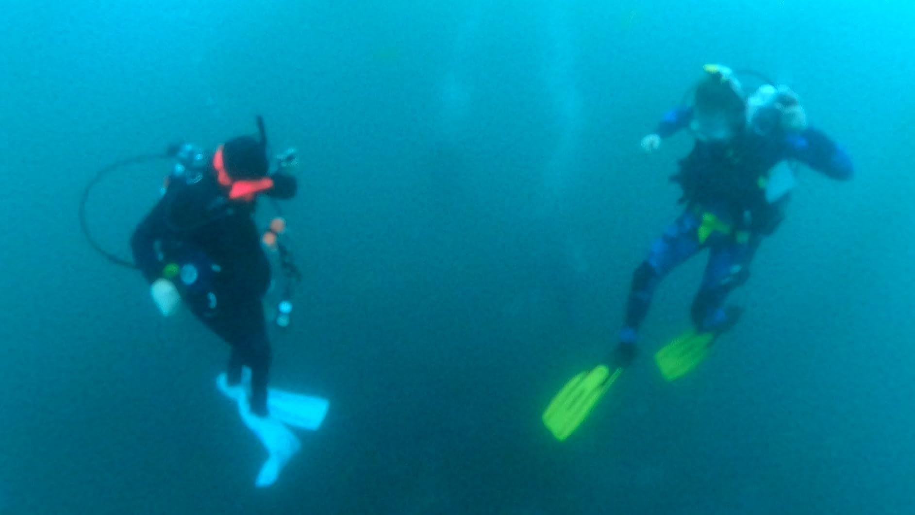 Cressi Lightweight Well-Balanced Open Heel Scuba Diving Fins - Pro Light: Made in Italy customer photo 2