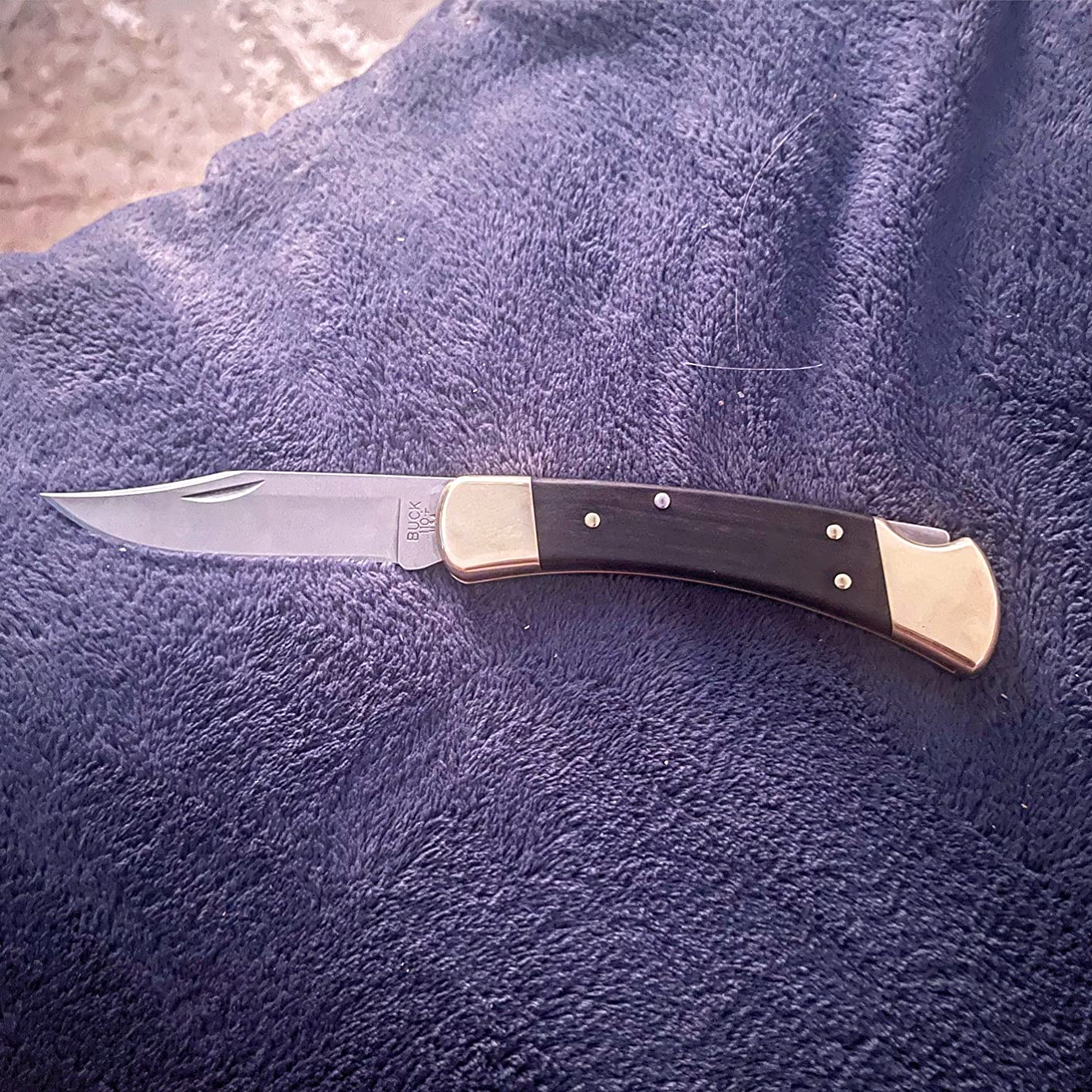 Buck Knives 110 Folding Hunter Lock-back Knife, Brass Bolsters, Ebony Handles, 3-3/4