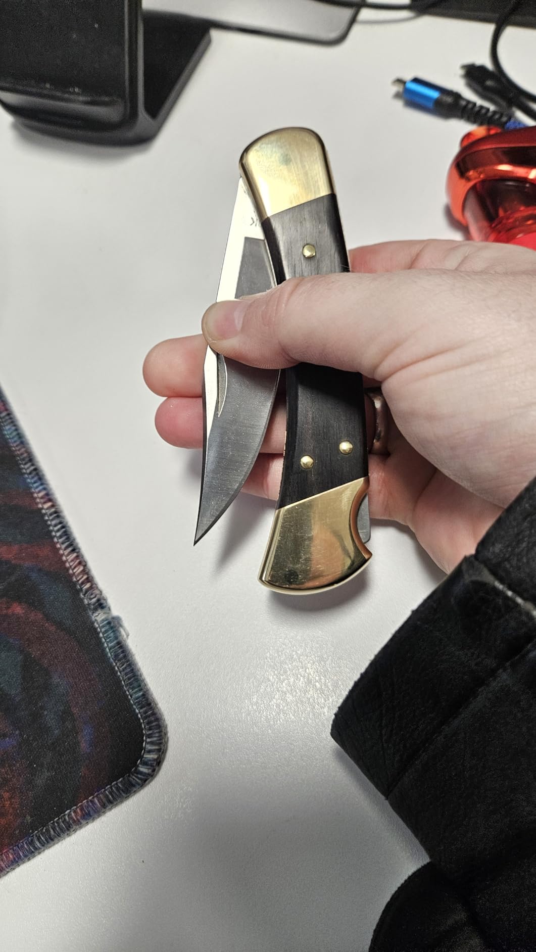 Buck Knives 110 Folding Hunter Lock-back Knife, Brass Bolsters, Ebony Handles, 3-3/4