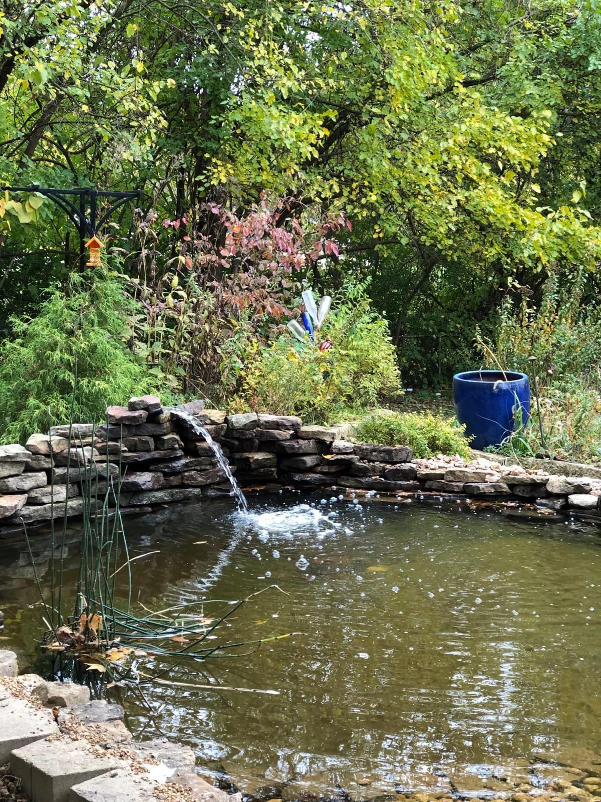 Firestone 45mil EPDM Rubber Pond Liner 15ft.x20ft. customer photo 2