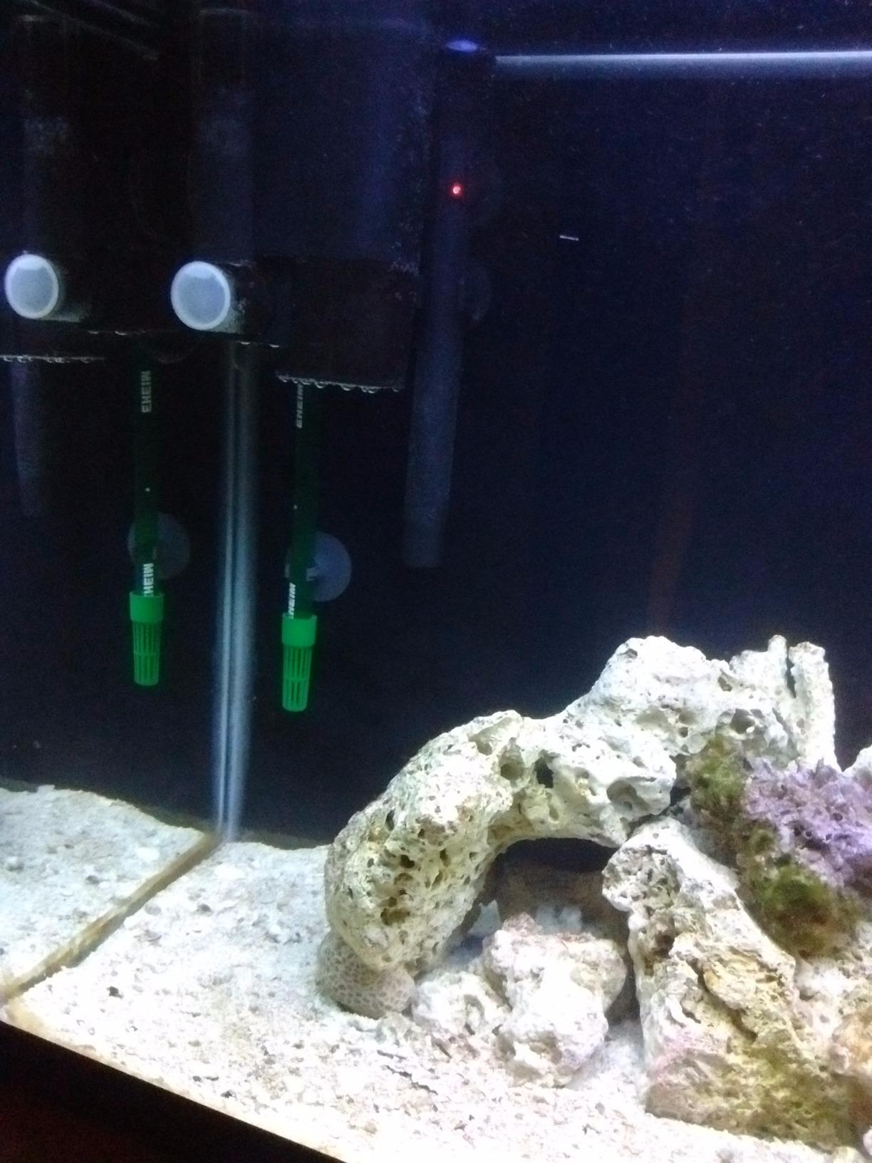 Tunze Comline DOC Protein Skimmer 9001 customer photo 2