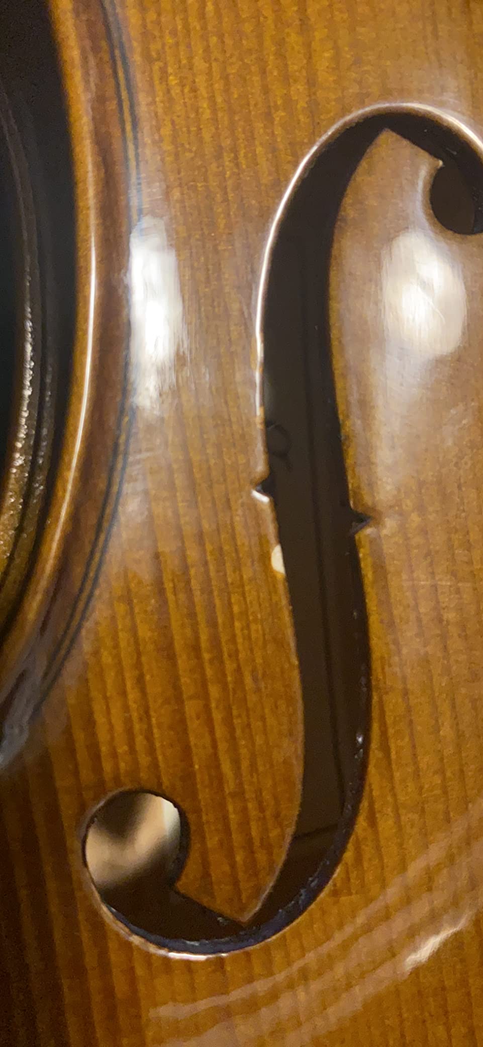 Cremona SV-175 4/4 Premier Student Violin Outfit – Solid Spruce Top, Maple Back, Ebony Fittings, Prelude Strings, Case & Bow for Beginner & Advancing Students customer photo 1