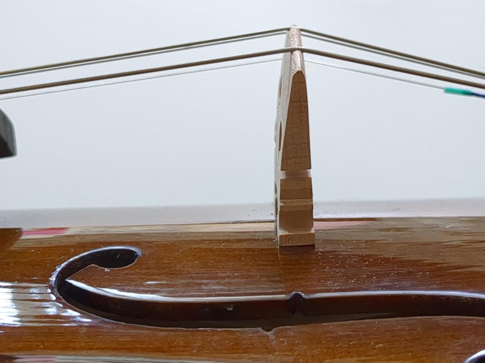 Cremona SV-175 4/4 Premier Student Violin Outfit – Solid Spruce Top, Maple Back, Ebony Fittings, Prelude Strings, Case & Bow for Beginner & Advancing Students customer photo 2