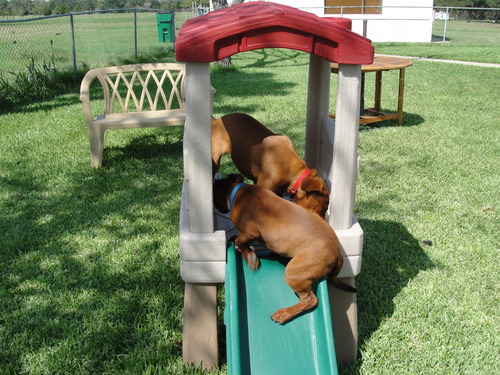 Step2 Play Naturally Playful Lookout Treehouse, Kids Outdoor Playset, Backyard Playground Set, Slide, Ladder, Pivoting Periscope, Outside Jungle Gym, For Toddlers 1.5+ Years Old customer photo 2