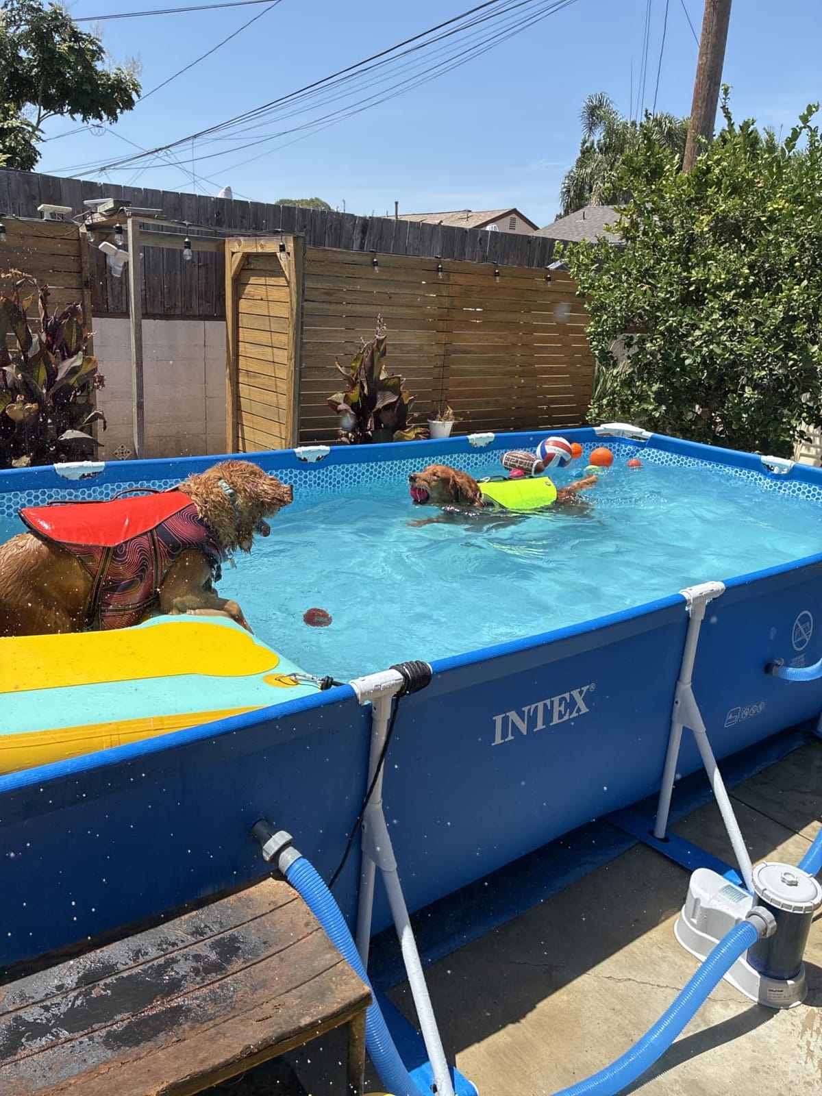 INTEX Metal Frame 14ft 9in x 7ft 3in x 33in Above Ground Swimming Pool | 28273EH - Pool Only (Pump Not Included) customer photo 1