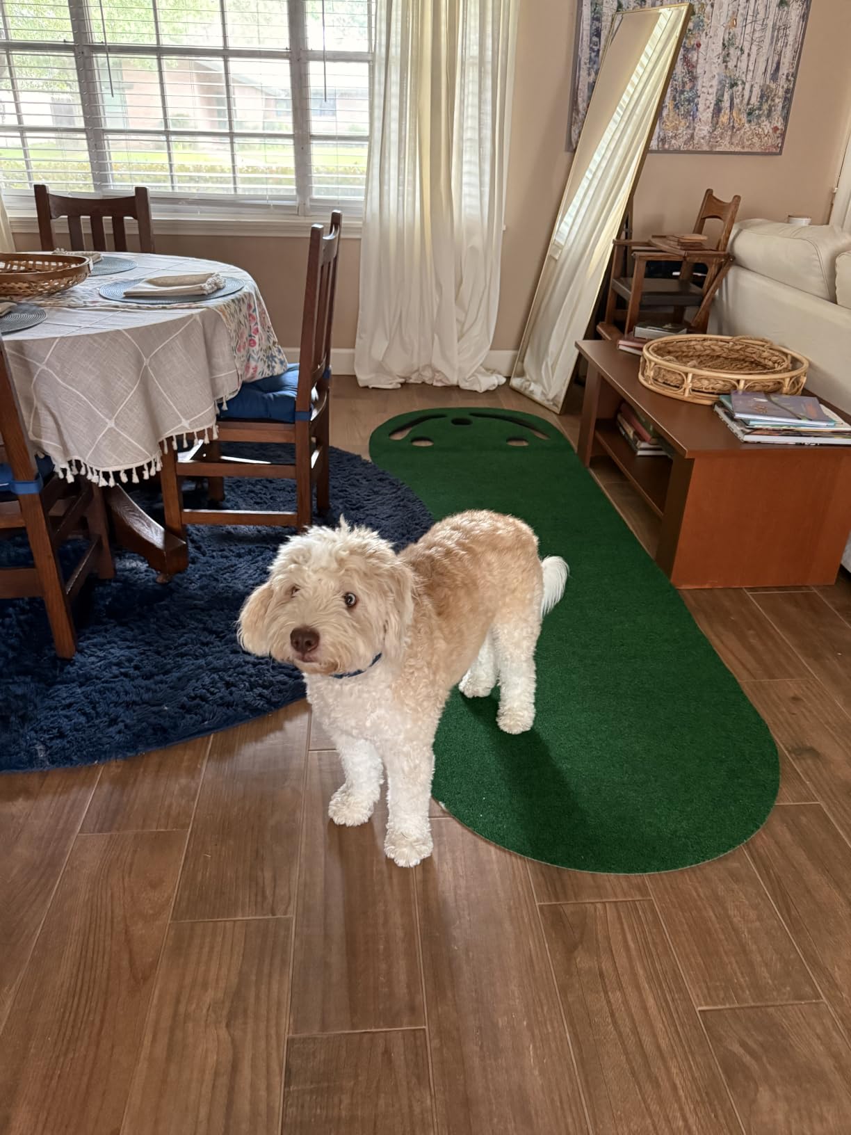 PUTT-A-BOUT Par Three Golf Putting Green (3' x 9') customer photo 1