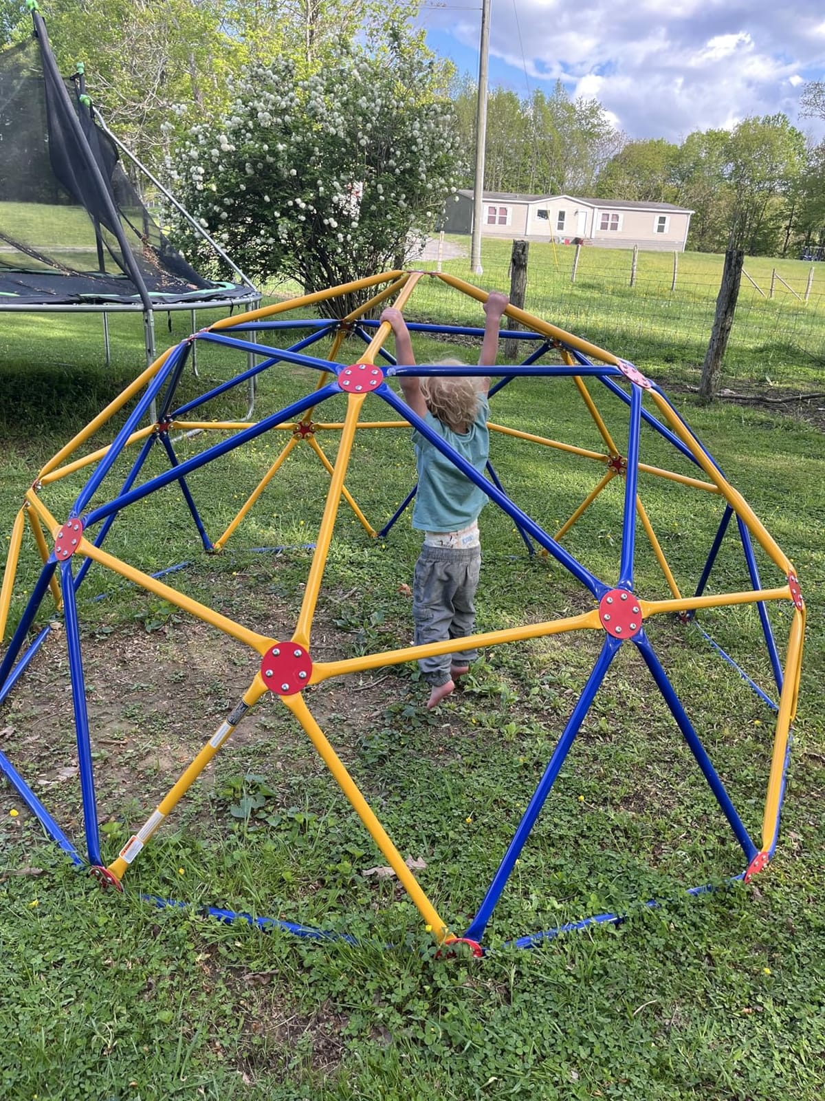 EASY OUTDOOR Space Dome Climber, Kids Outdoor Play Equipment, Kids Climbing Toys, UV Resistant Steel, Multi-Color, 1000 lbs Capacity GD-810 customer photo 1
