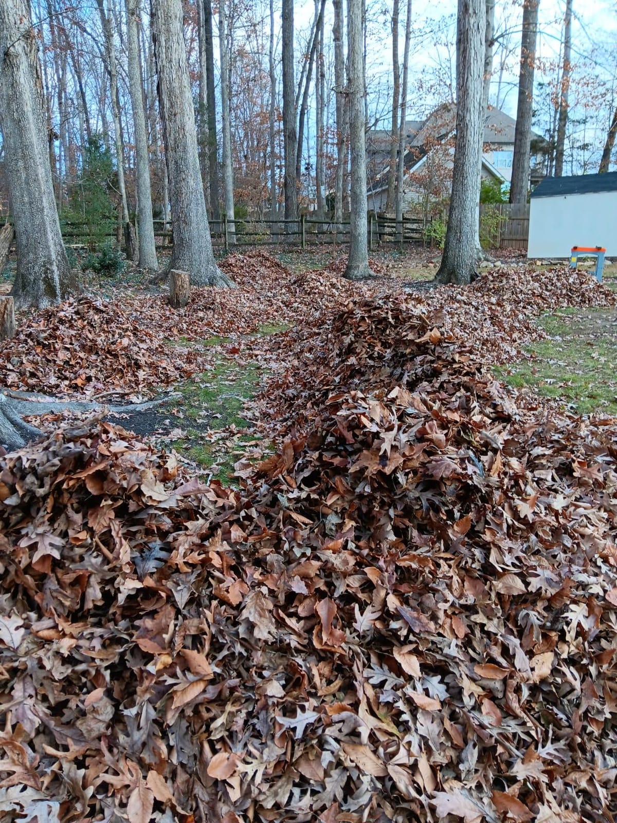 WORX 13 Amp Electric Leaf Mulcher for Yard Leaf & Waste Shredding, WG430 customer photo 2
