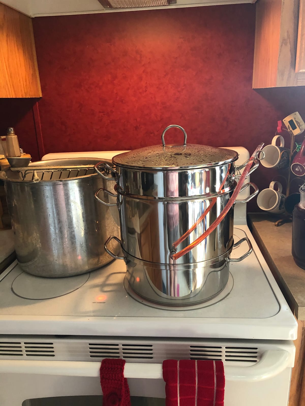 Norpro 619 Stainless Steel Steamer/Juicer customer photo 1