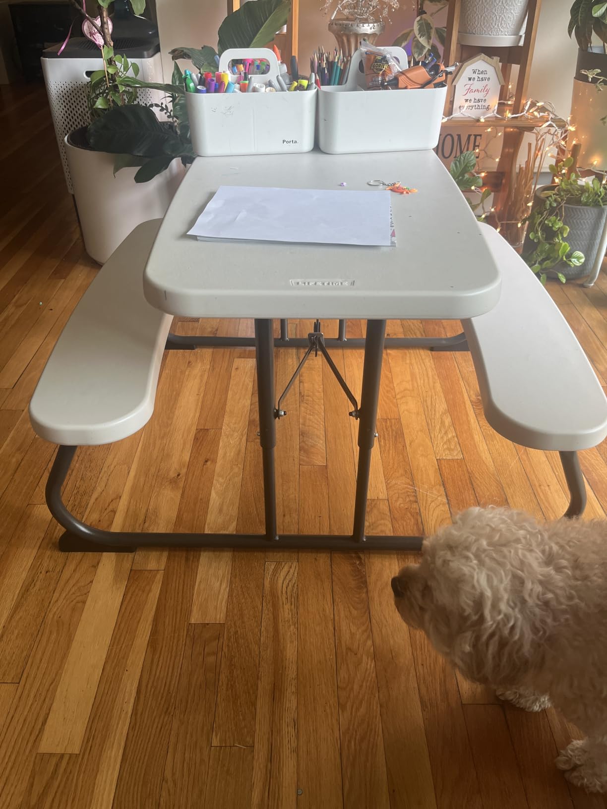 LIFETIME Kids Picnic Table, Foldable Outdoor Furniture customer photo 2