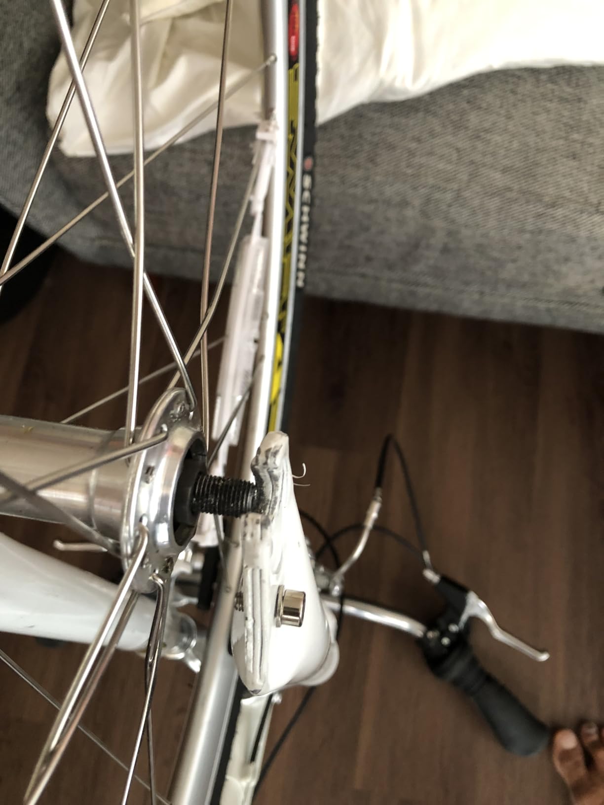 Schwinn Discover customer photo 2