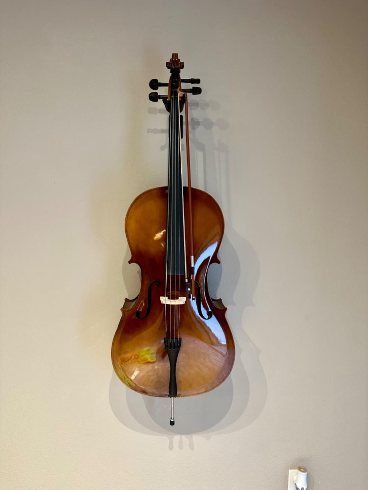D'Luca Meister Handmade Ebony Fitted Cello 4/4 customer photo 1