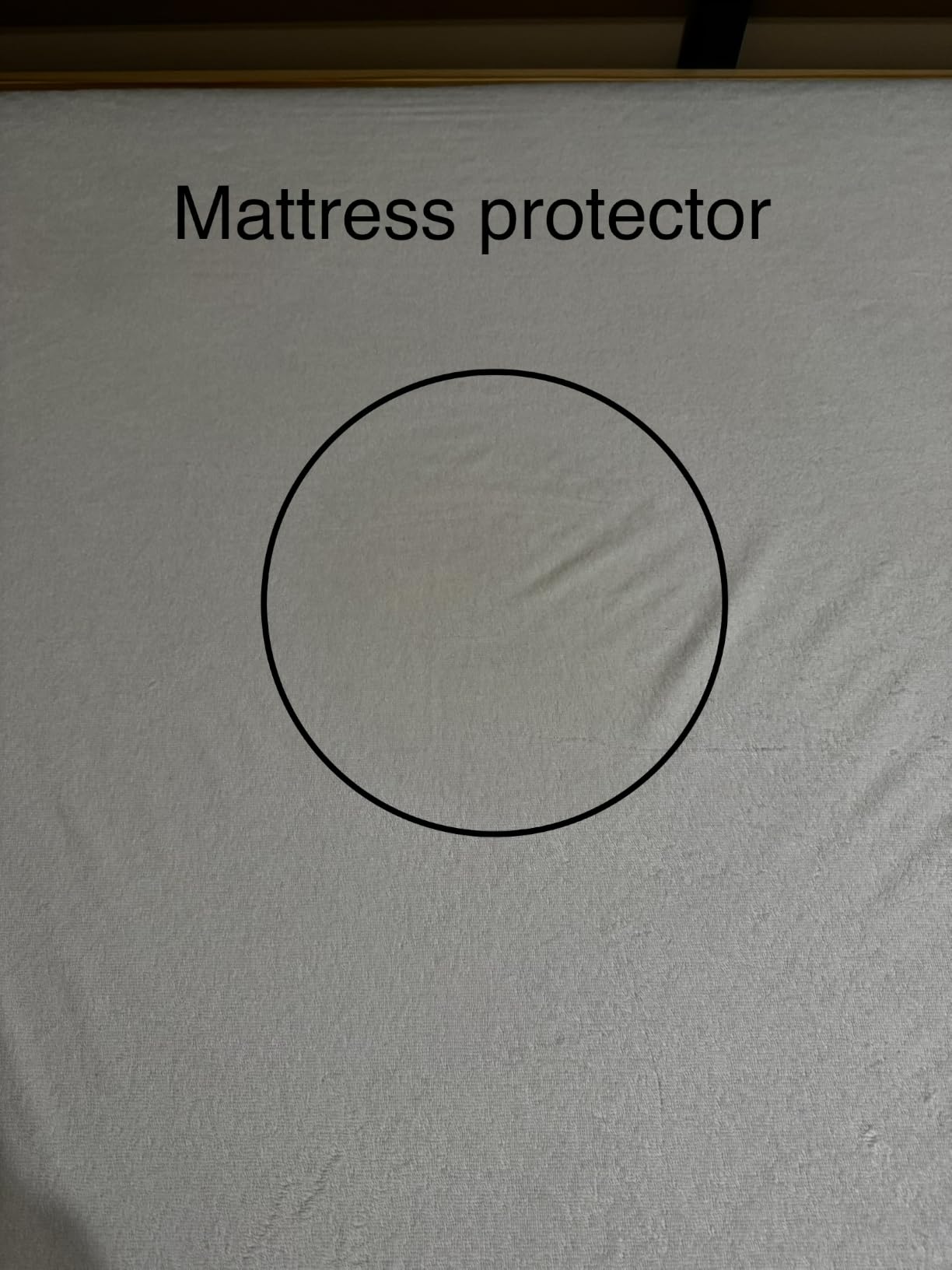 SafeRest Waterproof Queen Size Mattress Protector customer photo 1