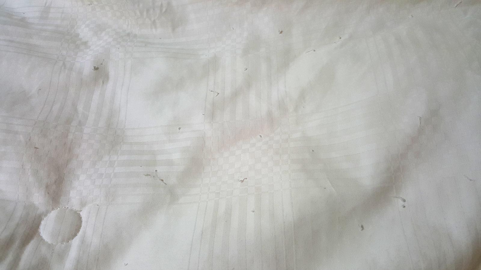 Natural Comfort Ultra Deluxe 100-Percent Natural Mulberry Silk Filled Dobby White Comforter for Summer, Queen customer photo 1