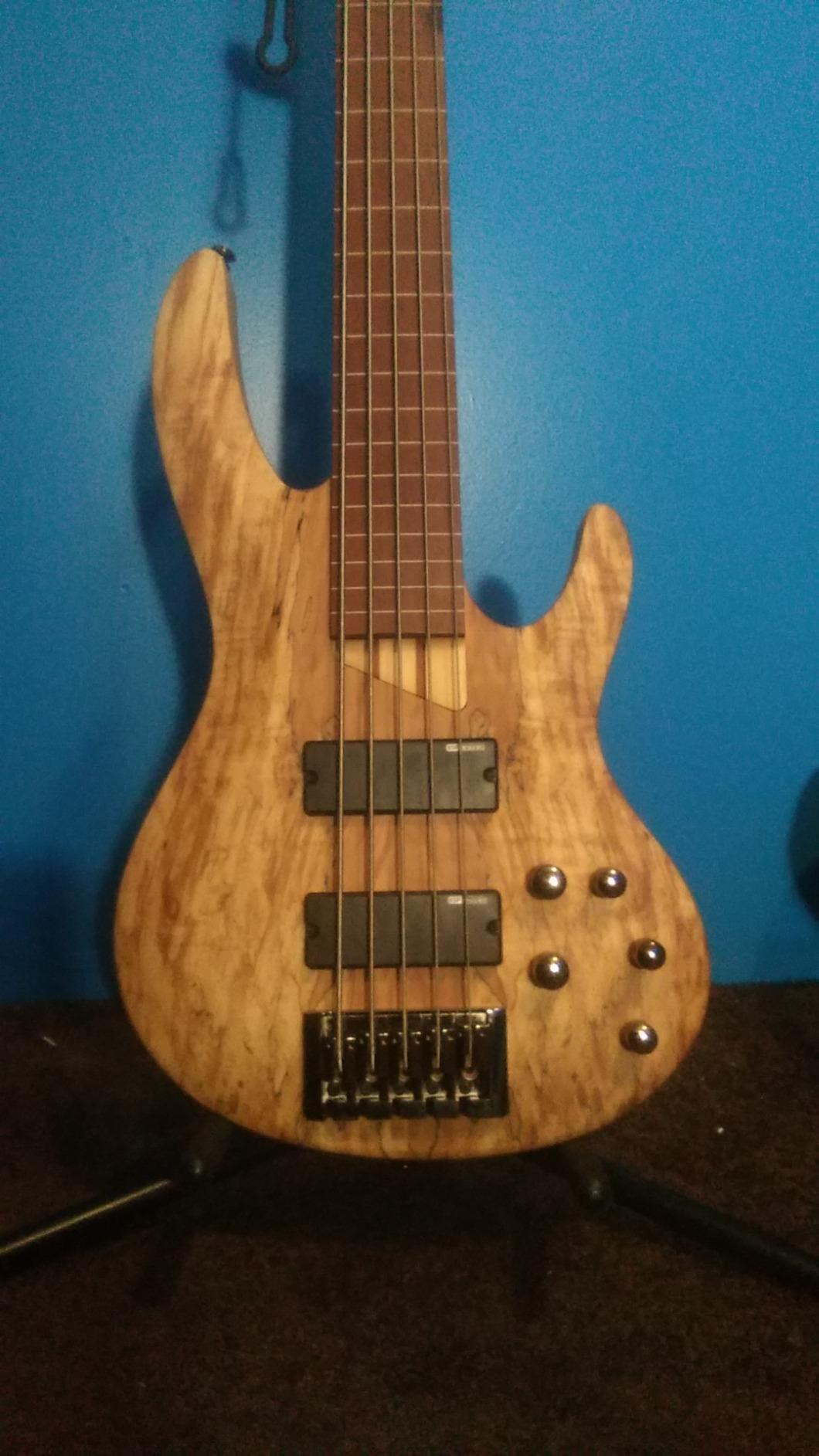 ESP LTD B-205 5-string Bass Guitar - Natural Satin customer photo 2