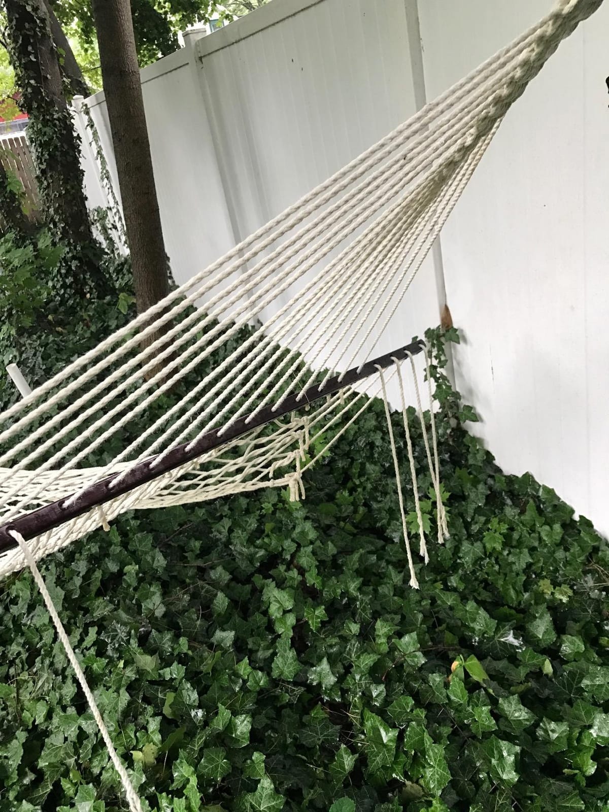 Best Choice Products 2-Person Double Hammock, Outdoor Woven Cotton Rope Hammocks for Backyard, Patio w/Spreader Bars, Carrying Case, 450lb Weight Capacity customer photo 1