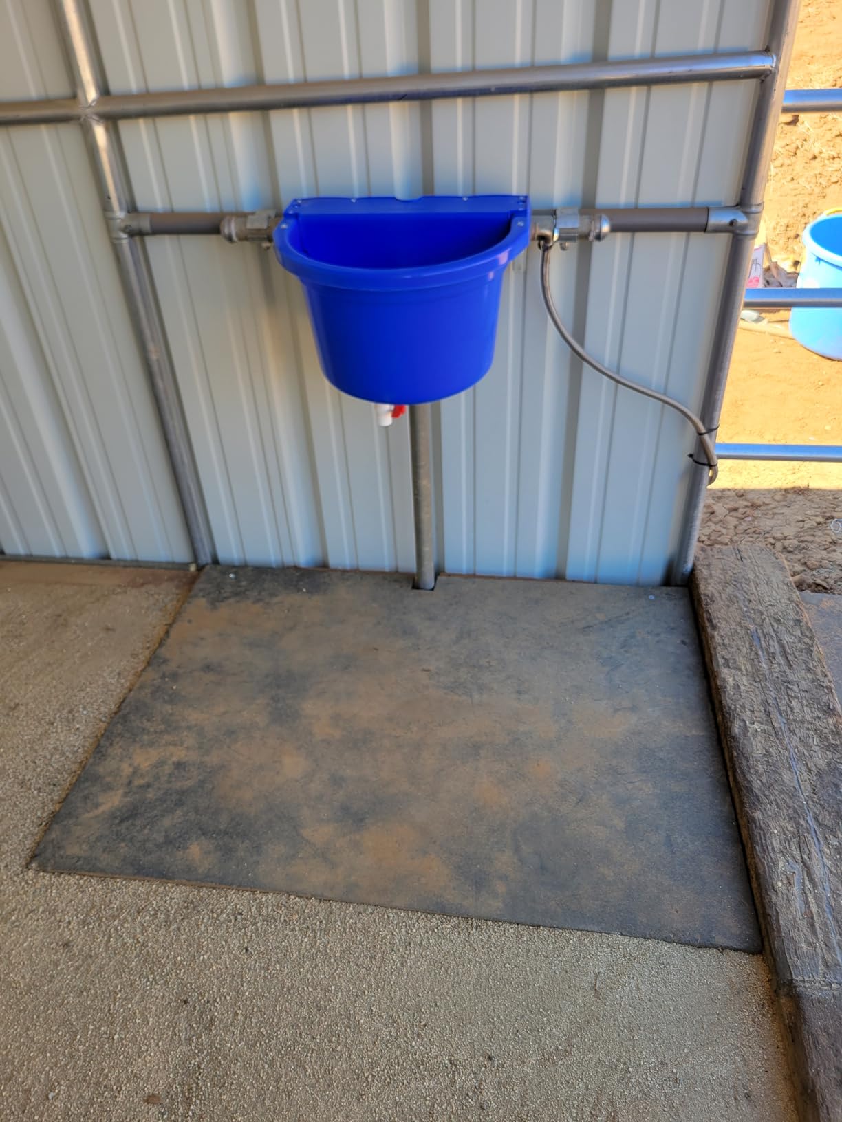 Little Giant® Automatic Animal Waterer | DuraMate Float Controlled Automatic Waterer for Livestock | Heavy Duty and Durable | Made in USA | 4 Gallon (Black, 4 Gallon) customer photo 2