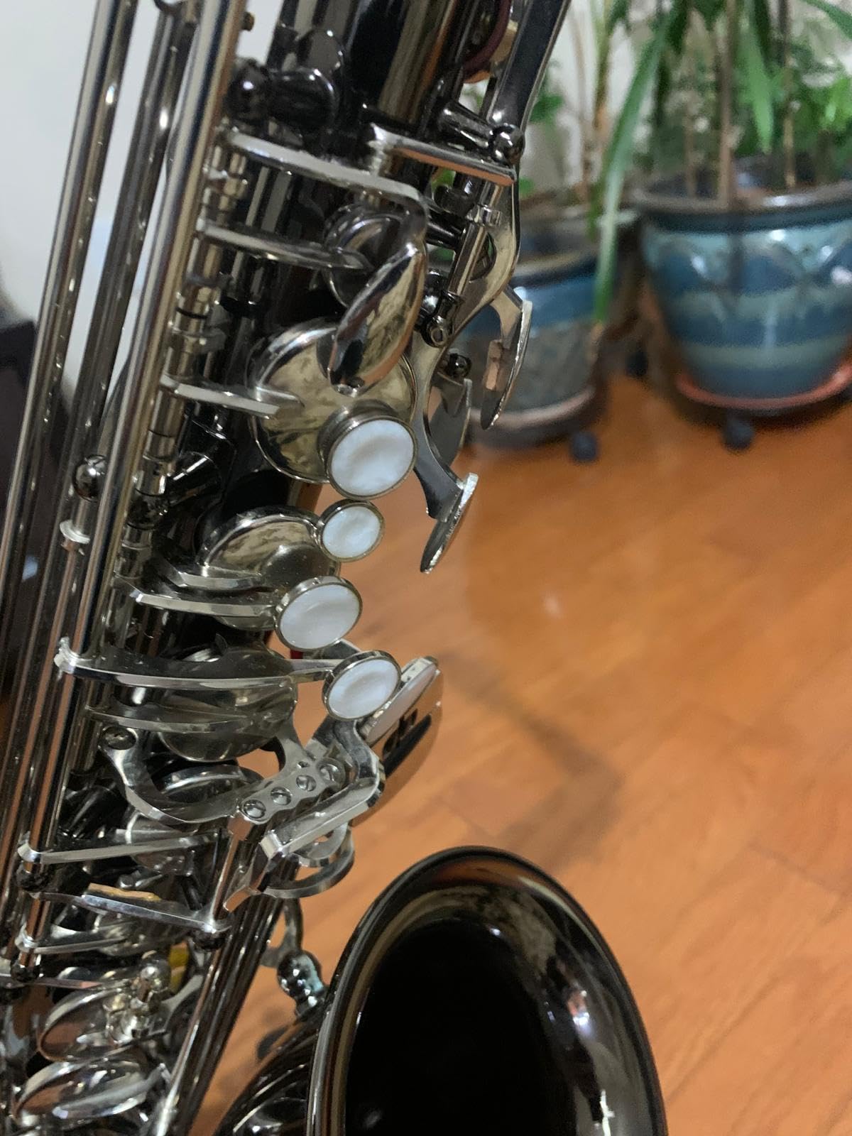 Mendini By Cecilio Eb Alto Saxophone Kit for Beginner - Gold Green customer photo 2