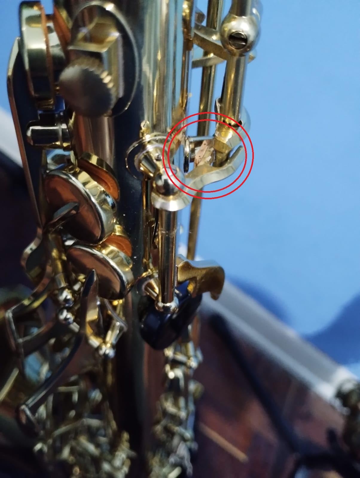 Jean Paul AS-400 Alto Saxophone - Golden Brass Lacquered customer photo 2