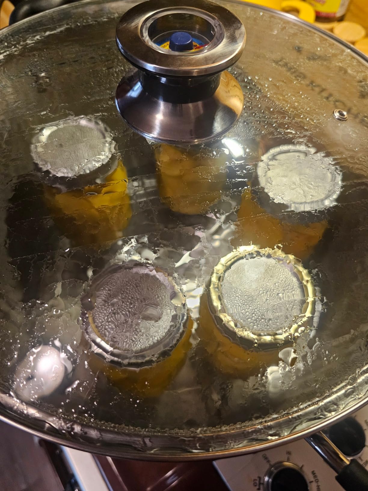 Harvest Stainless Steel 20 Qt Canning Pot with Rack | Water Bath or Steam Canning | Works on All Stovetops Including Induction, Glass, Gas (Stainless Steel Canner + Tools) (Stainless Steel Canner) customer photo 2