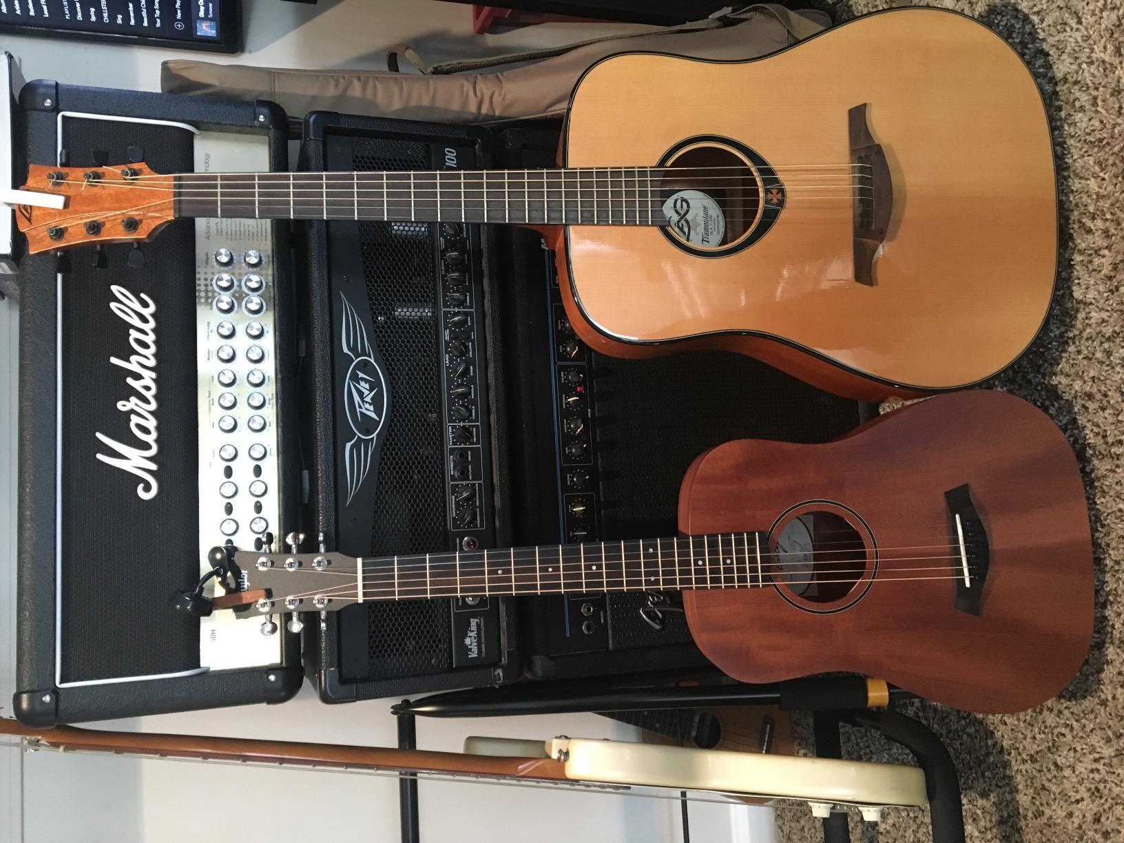 Taylor BT2 - Mahogany Top customer photo 1