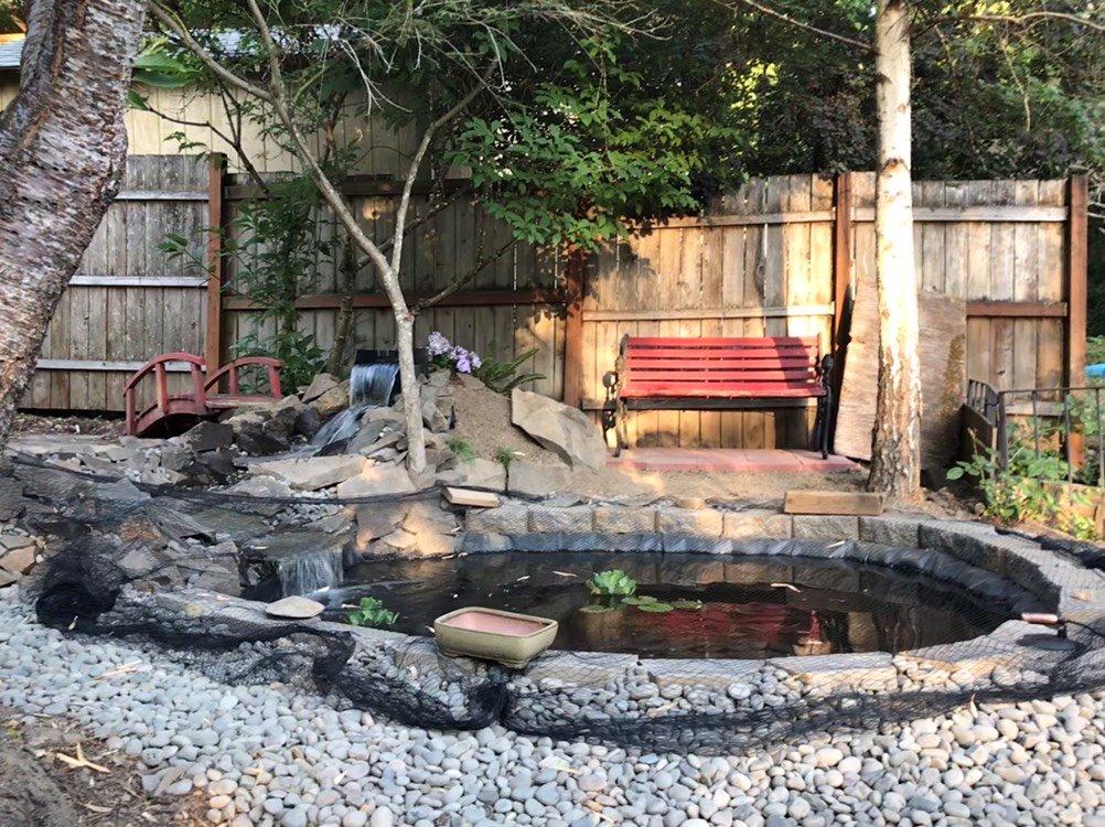 Simply Ponds 2100 GPH Water Garden Koi Pond Kit 15 x 20 Ft EPDM Liner customer photo 1