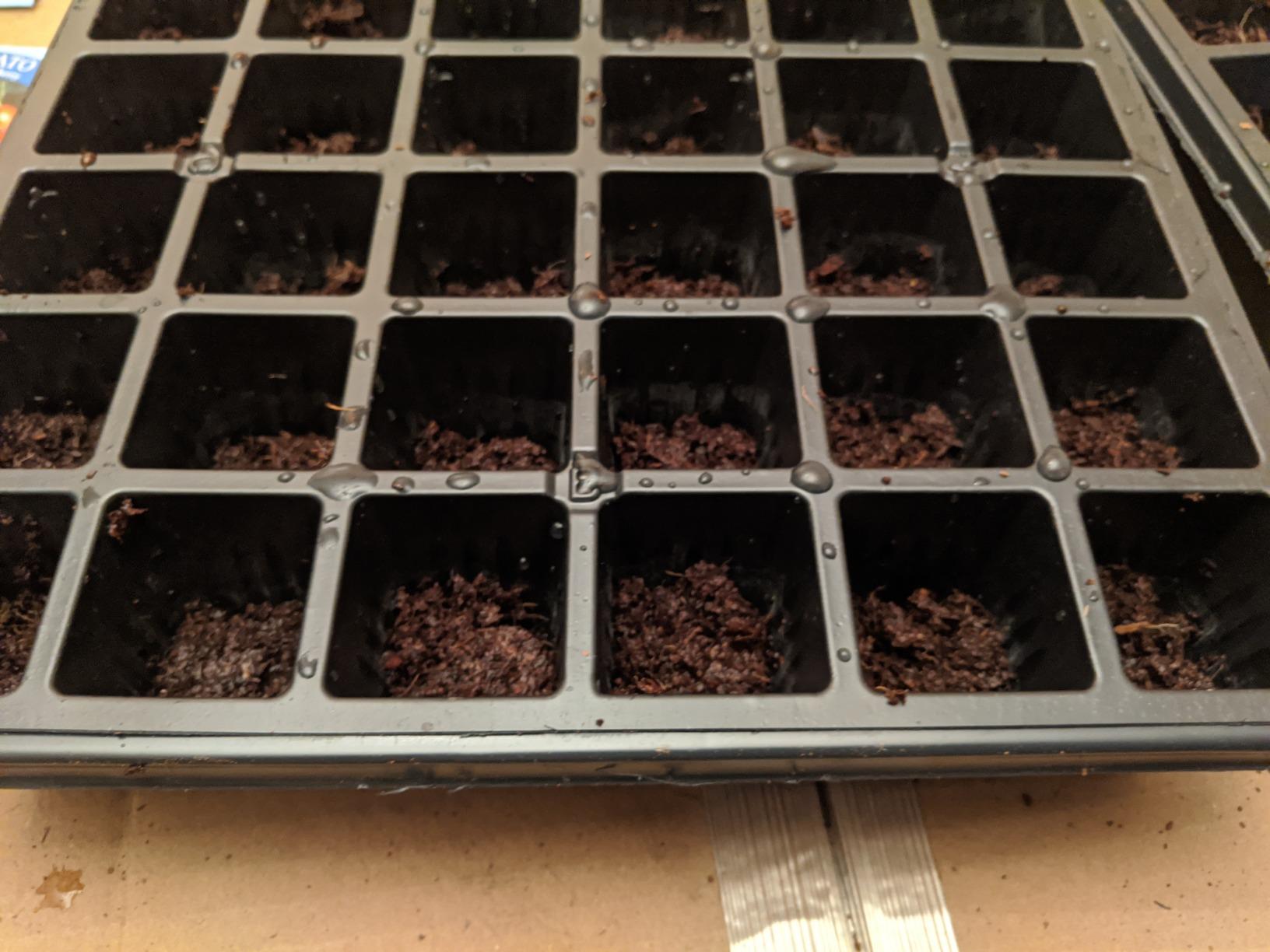 Burpee 72 Cell Seed Starting Kit with Greenhouse Dome and Coir Pellets customer photo 1