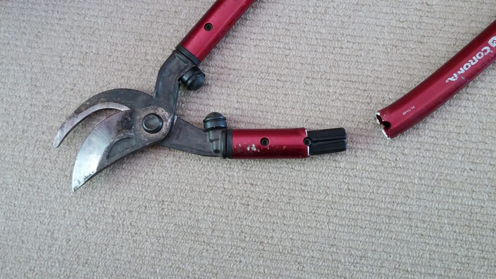 Corona Tools | 36-inch Branch Cutter MAXFORGED Orchard Loppers | Tree Trimmer Cuts Branches up to 2 ¼-inches in Diameter | AL 8482, Red customer photo 2