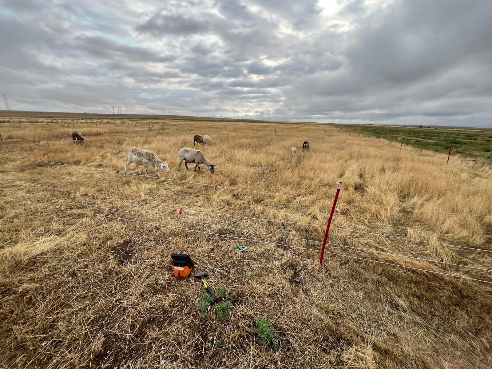 Gallagher Smart Fence 2 Portable Electric Fence for Livestock customer photo 2