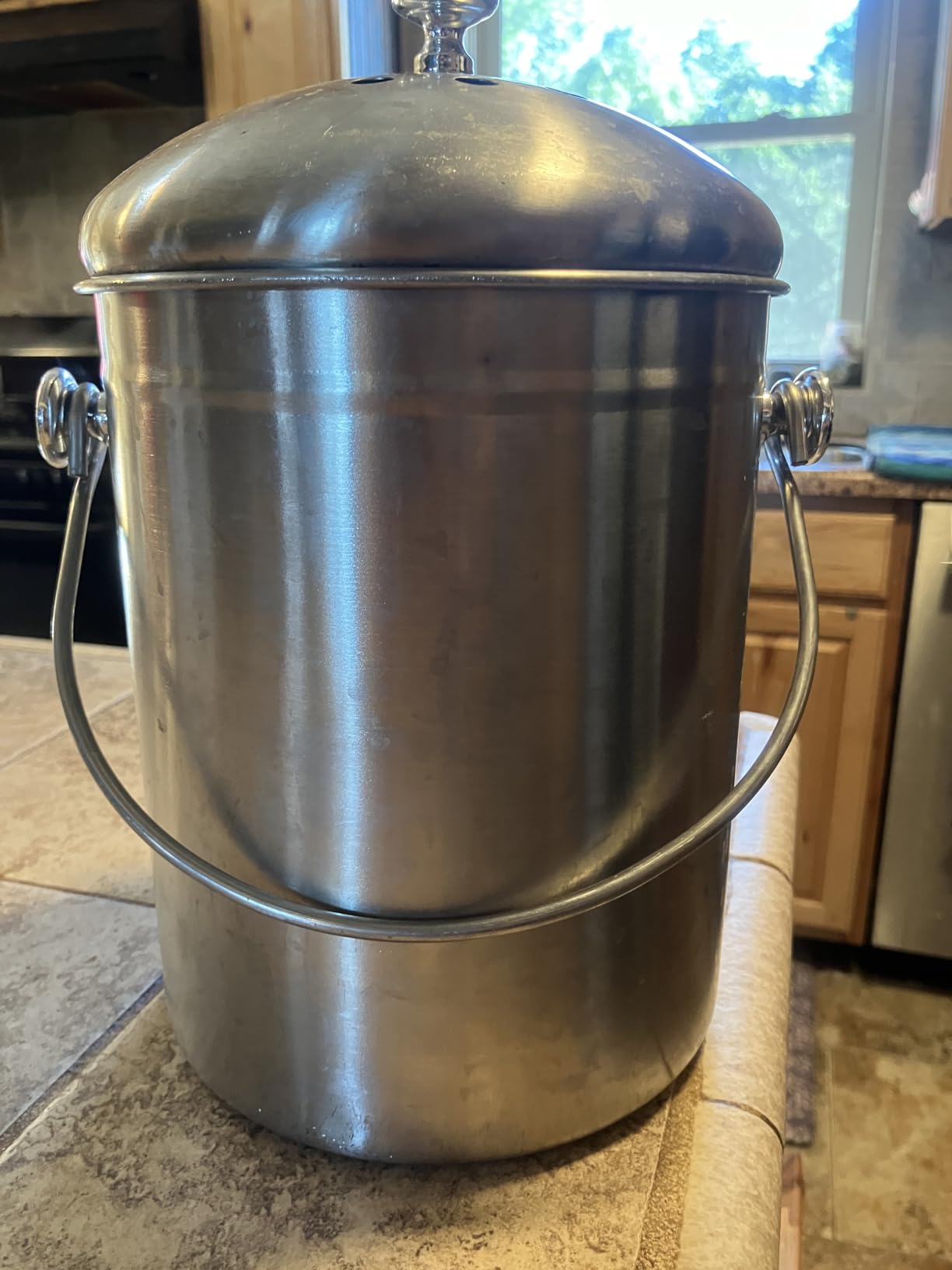 Epica Kitchen Compost Bin for Kitchen Countertops, 1.3 Galllon - Silver customer photo 2