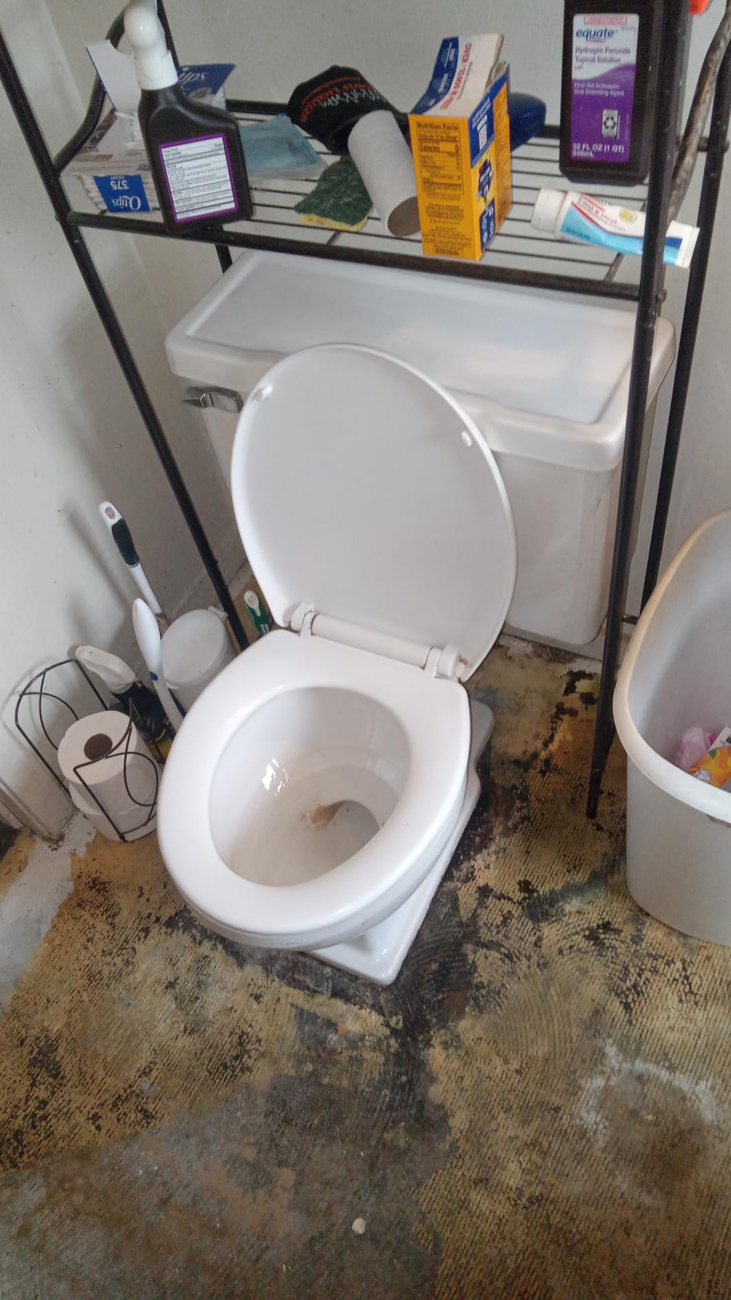 KILZ Basement and Masonry Waterproofing Paint, White, Interior/Exterior for Concrete, Brick & Cinder Block Walls, 1 Gallon customer photo 2