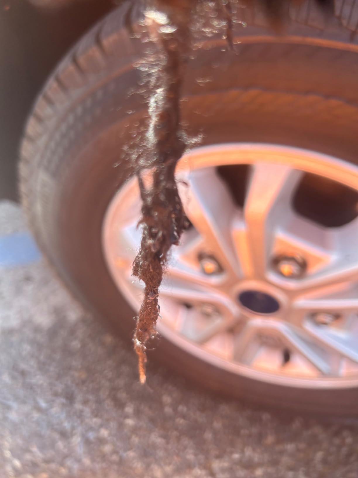 Chemical Guys, Gerbil Wheel & Rim Brush, Soft Natural Bristles, for Tires customer photo 2