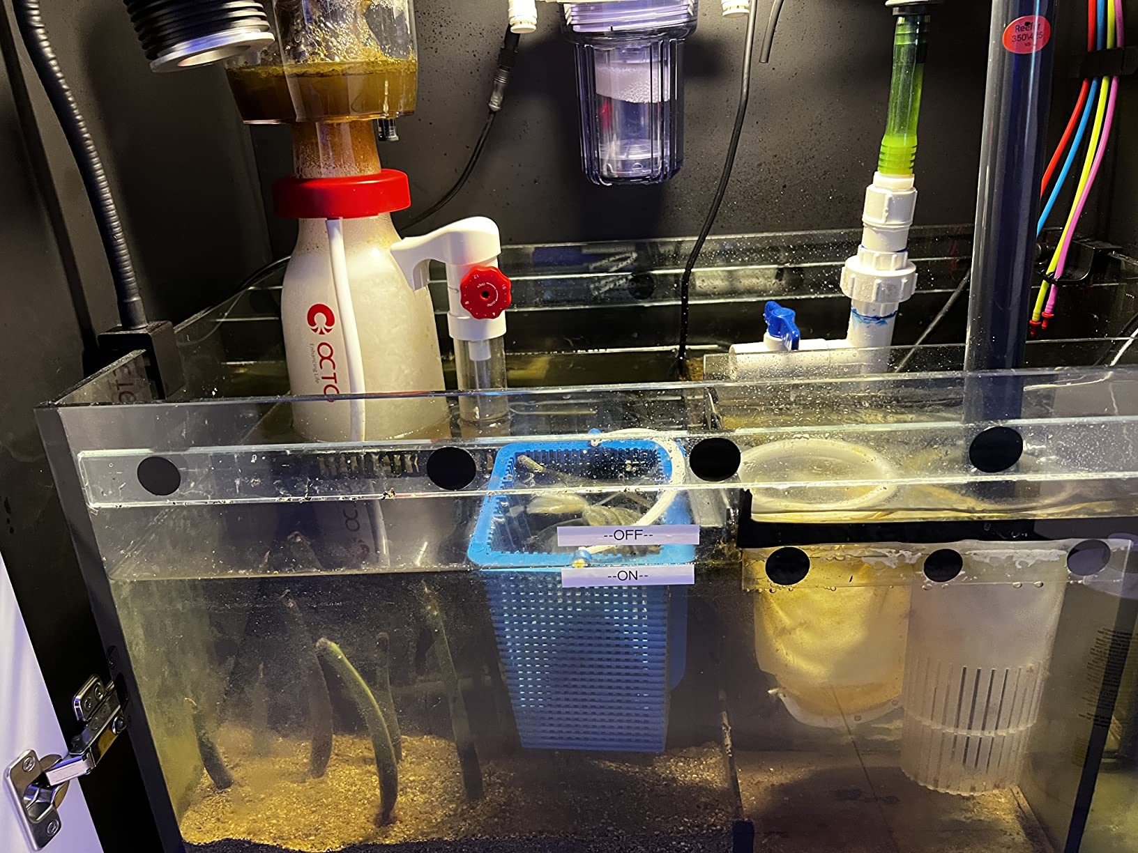 Reef Octopus eSsence S-130 Protein Skimmer customer photo 2