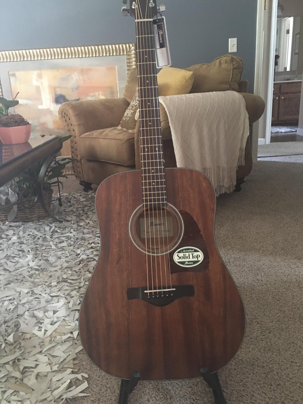 Ibanez Artwood Dreadnought Acoustic Guitar-Open Pore Natural customer photo 2