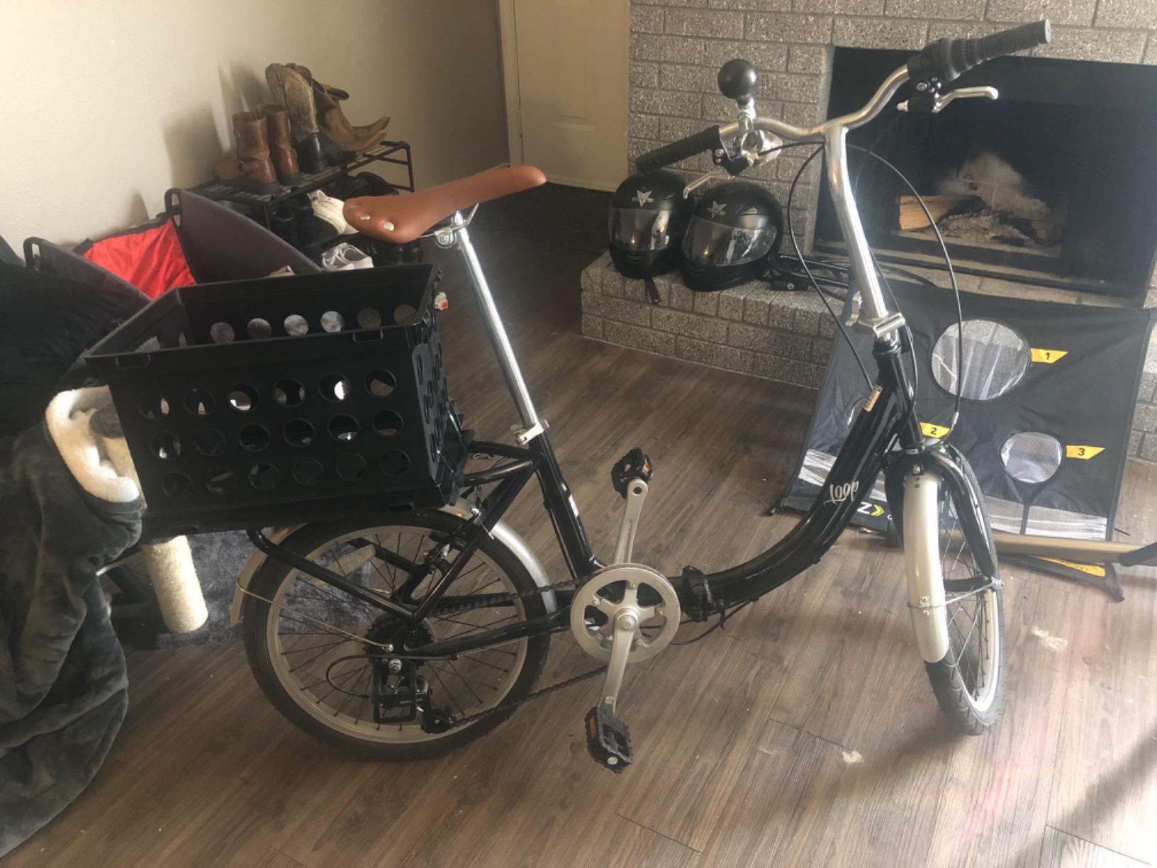 Schwinn Loop customer photo 1
