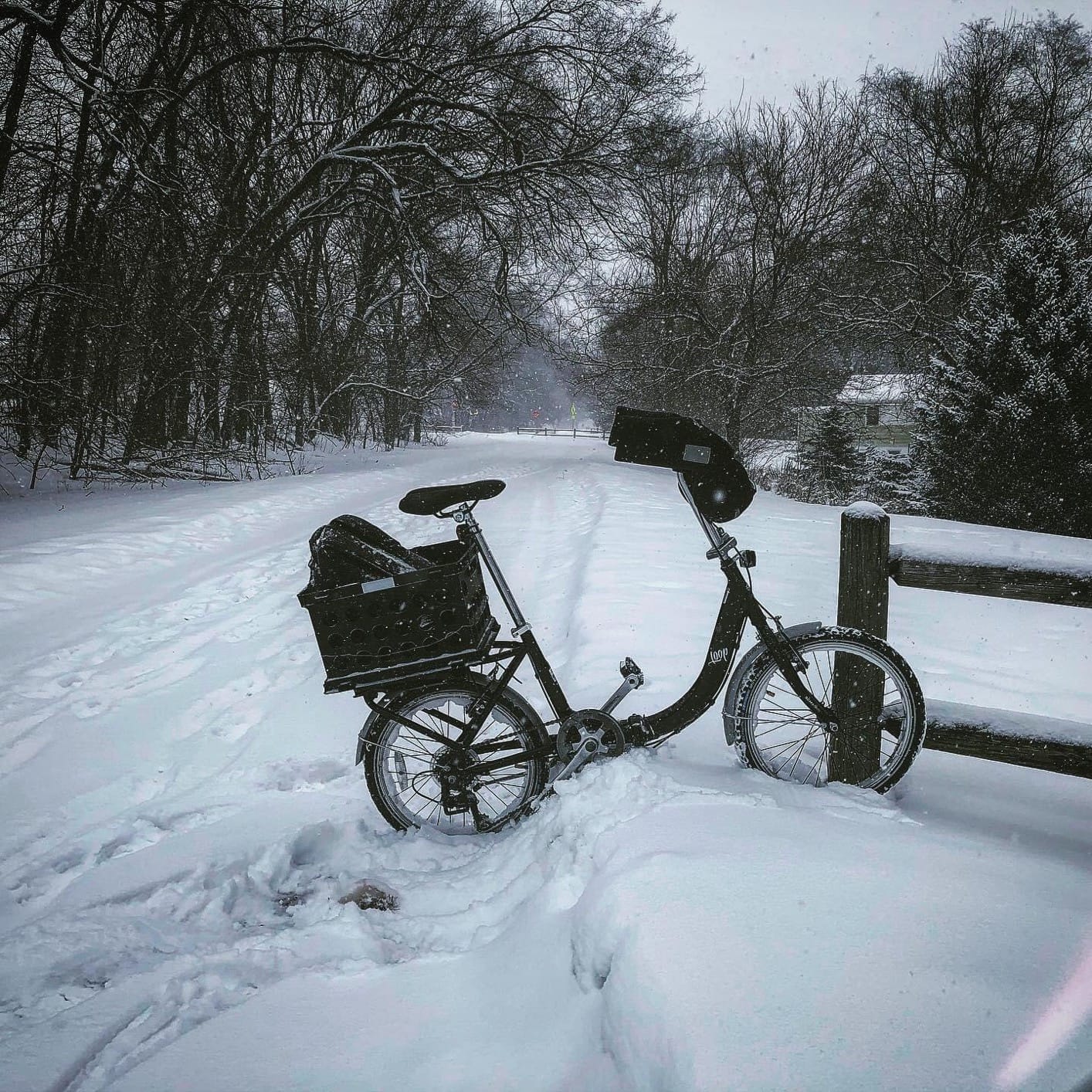 Schwinn Loop customer photo 2