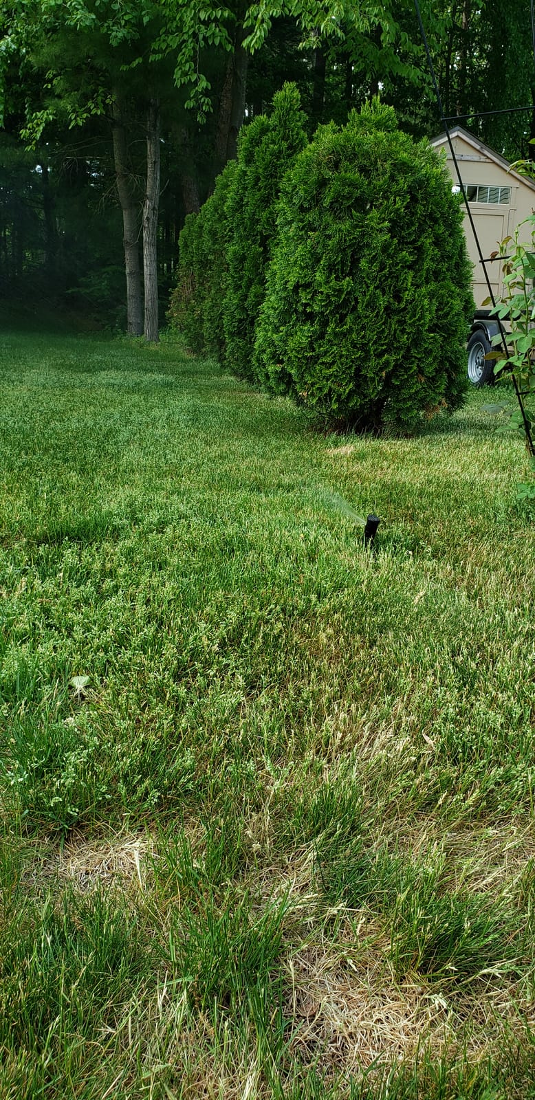 Rain Bird 32ETI DIY Install In-Ground Automatic Sprinkler Kit customer photo 1