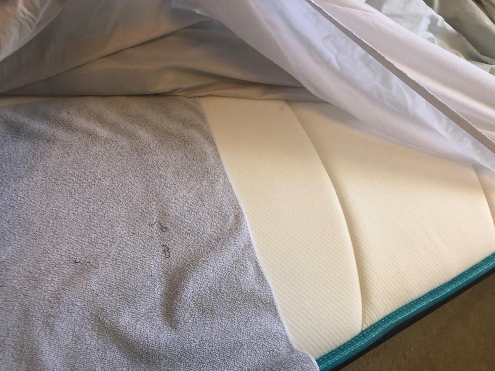 Linenspa Waterproof Mattress Protector, Queen Size – Fitted Sheet Style, Breathable, Machine Washable & Dryer Safe, White customer photo 1