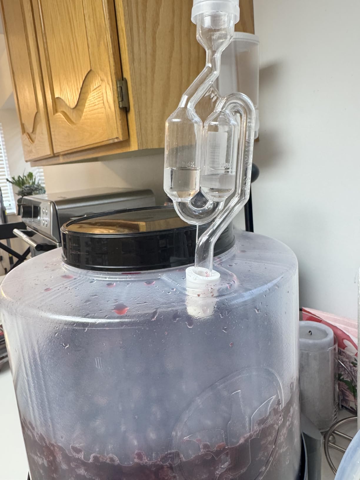 Conical Fermenting System - NO AIRLOCK OR Siphon Required - Made of BPA Free Food Grade Plastic that imparts Zero unwanted Flavors into Your Brew! customer photo 1