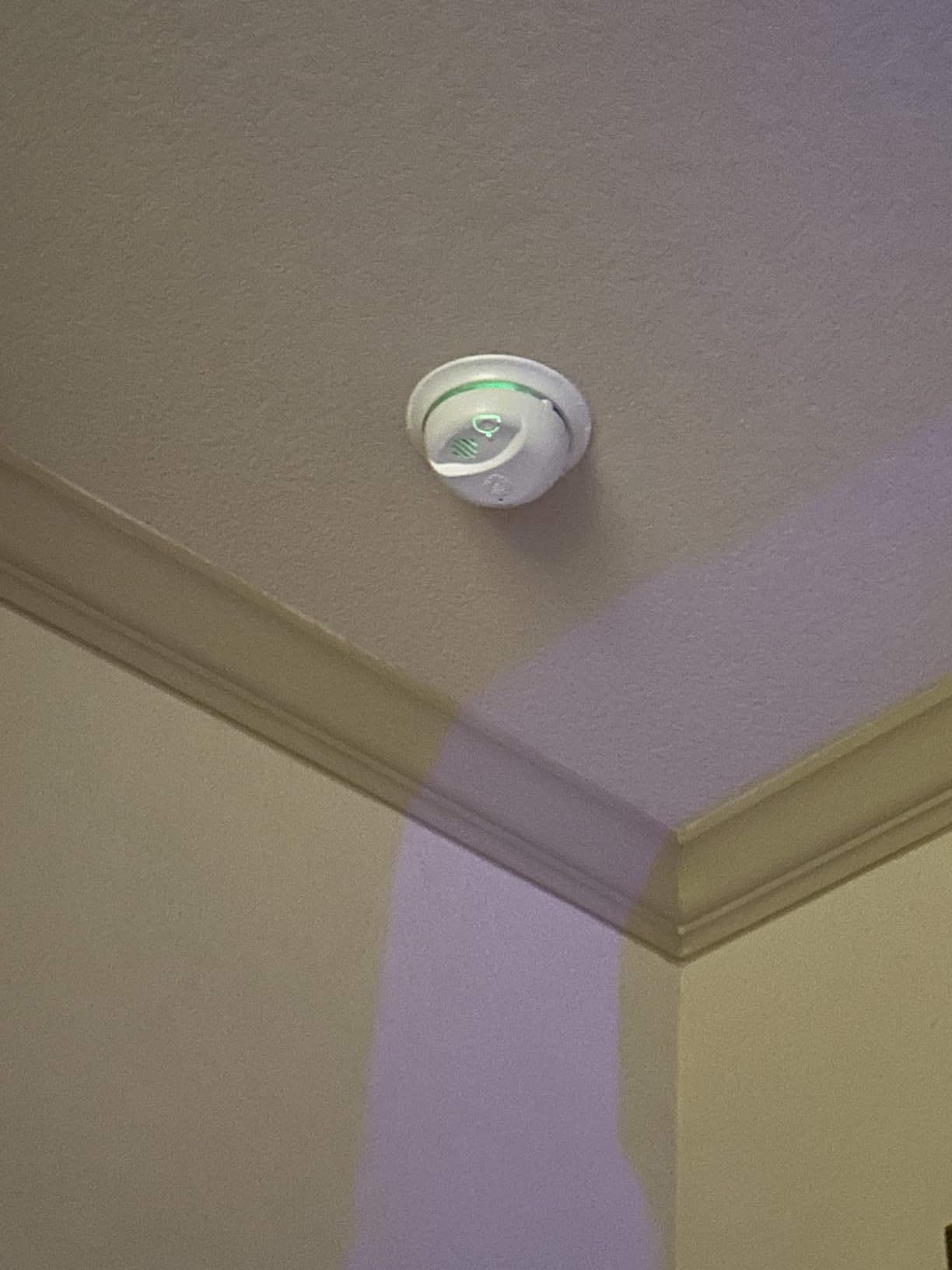 BRK First Alert 9120BFF/ SMI100-AC Smoke Detector, Hardwired Alarm with Battery Backup, White, 1-Pack customer photo 1